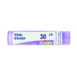 viola tricolor 30 ch tubo 2020