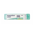 boiron anacardium orientale 200ch - rimedio omeopatico 4 g granuli multidose