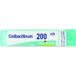 bo.collibacillinum 200ch gr