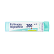 echinacea angust 200ch gr 4 g granuli