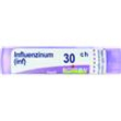 influenzinum  30ch granuli