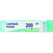 lachesis mutus tubo 200ch