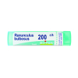 ranunculus bulbosus 200 ch tubo 2020