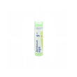 boiron sambucus nigra 200ch gr