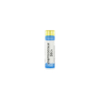 boiron streptococcinum 200ch - farmaco omeopatico 4 gr granuli multidose