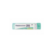 streptococcinum 200ch gr