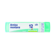 arnica 12ch gr bo