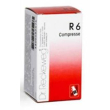 dr. rekeweg r6 omeopatico 100 compresse