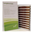 gamma limphomioti 20f fisx2ml
