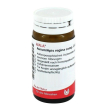 aurum apis regina 20g gl 