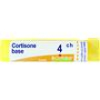 cortisone tubo  4ch