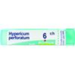 hypericum perfor.tubo  6ch