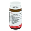 agropyron comp 20g gl wala