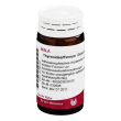 thyreoidea/ferrum 20gl wal