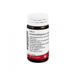 echinacea argentum 20g gl wal