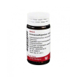 echinacea argentum 20g gl wal