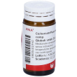 wala cichorium pancreas globuli 20 g