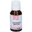 lachesis mutus 200k 10ml gtt 10 ml gocce orali