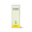 fagus sylvatica gemme 30ml mg