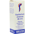 equisetum arvense 6ch granuli - rimedio omeopatico a base di equiseto
