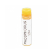 phosphorus flavus multidose-24/lm