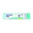 aesculus hipp 6 ch tubo 2020