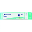 aesculus hipp.tubo  6ch