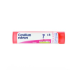 boiron corallium rubrum 6ch gr