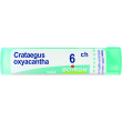 crataegus oxyacantha 6ch gr