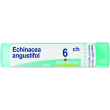 boiron echinacea angust 6ch gr 4g