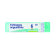 echinacea angustifol 6 ch tubo 2020