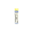 cemon thuya occidentalis 200ch - farmaco omeopatico 6 gr granuli multidose