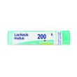 bo.lachesis mutus 200k gr=