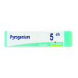 pyrogenium 5 ch dose 2020