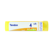 tendon 4 ch tubo 2020