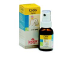 schwabe cidis spray 20ml
