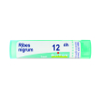 ribes nigrum 12 dh tubo 2020