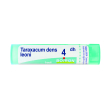 taraxacum dens leoni 04 dh tubo 2020