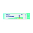 thuya occidentalis 04 dh tubo 2020