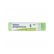 boiron kalium phosph 4ch gr