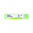 boiron bellis perennis 4ch gr