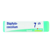 staphylo- coccinum 7 ch dose 2020