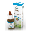 bachflowers  4 centaury 10ml