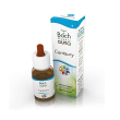 centaury bach guna 10ml