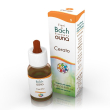 guna fiori di bach cerato gun gtt 10ml