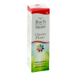 guna cherry plum 6 fiori di bach istintività e padronanza gocce 10 ml