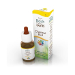 guna fiori di bach chestnut bud gocce 10 ml - integratore per l'apprendimento