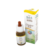 chestnut bud fiori di back 10ml