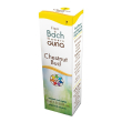 chestnut bud gocce 10 ml ml orali
