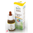 chestnut bud gocce 10 ml